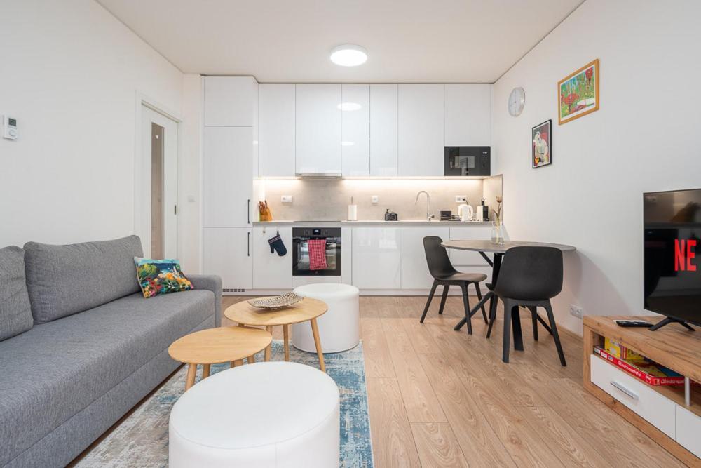 New Near The Centre Of Apartment Brünn
