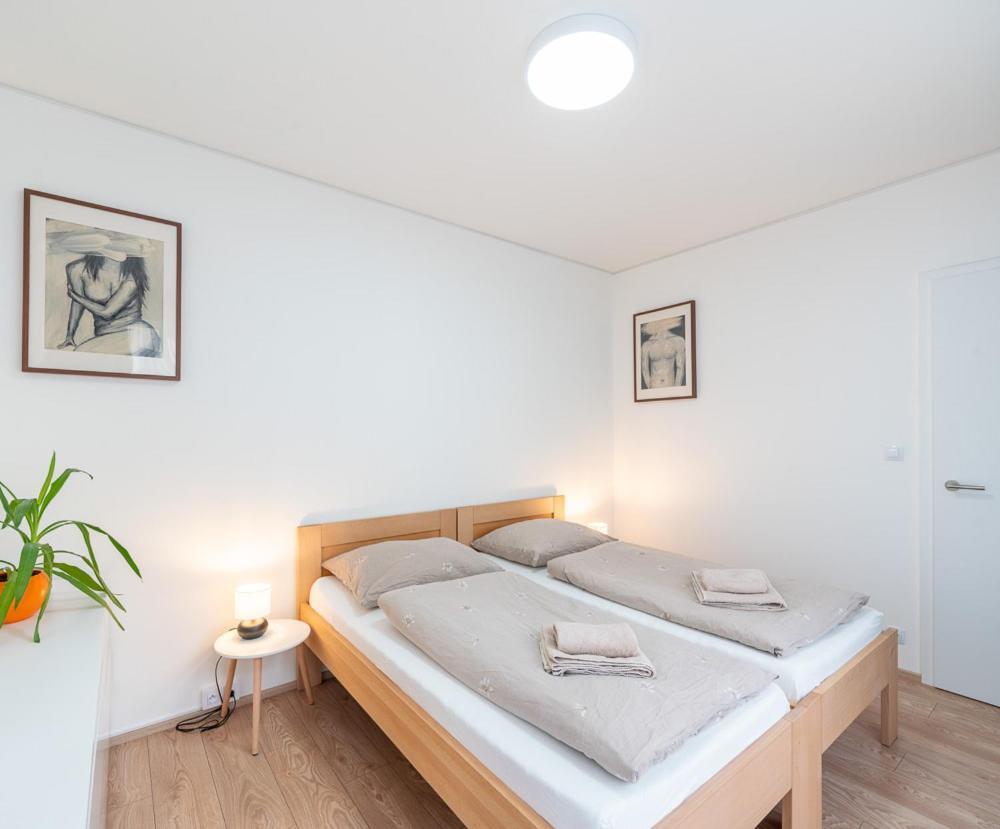 New Near The Centre Of Apartment *